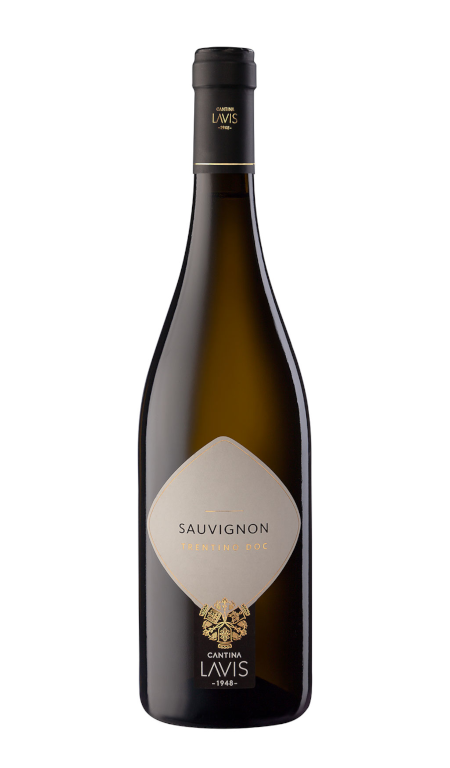 Sauvignon Trentino 2022 La Vis