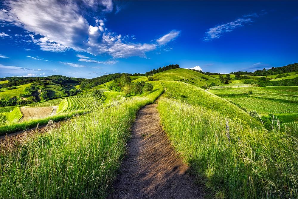 Collio, terra di grandi vini