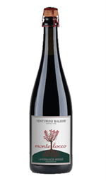 Lambrusco Emiliano Montelocco Venturini Baldini