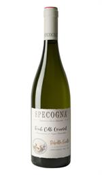 Ribolla Gialla Friuli Colli Orientali 2021 Specogna