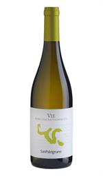 Vie Bianco Rubicone 2023 San Patrignano