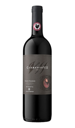 Chianti Classico Docg Riserva Clemente VII 2019 Castelli del Grevepesa
