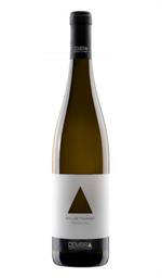 Müller Thurgau 2021 Cembra
