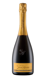 Prosecco Conegliano Valdobbiadene Docg Extra Dry Millesimato 2023 BiancaVigna