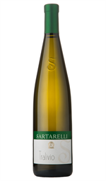 Verdicchio Castelli di Jesi Classico Sup. Tralivio 2022 Sartarelli