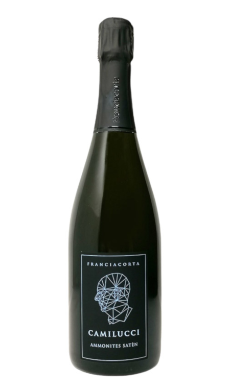 Franciacorta Satèn Ammonites Camilucci 