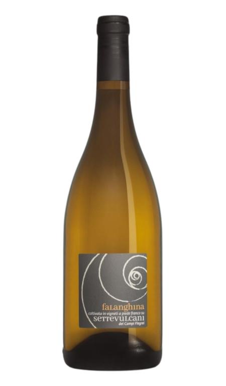 Settevulcani Falanghina Campi Flegrei 2023 Martusciello