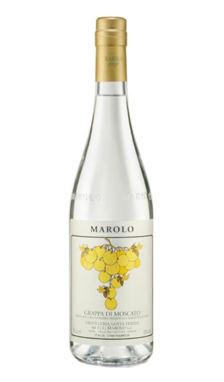 Grappa di Moscato Marolo Astuccio