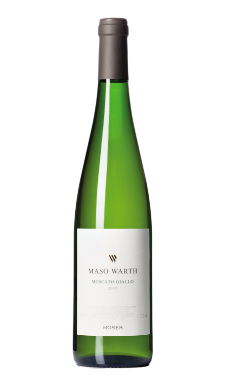 Moscato Giallo Maso Warth Vigneti delle Dolomiti Igt 2023 Moser