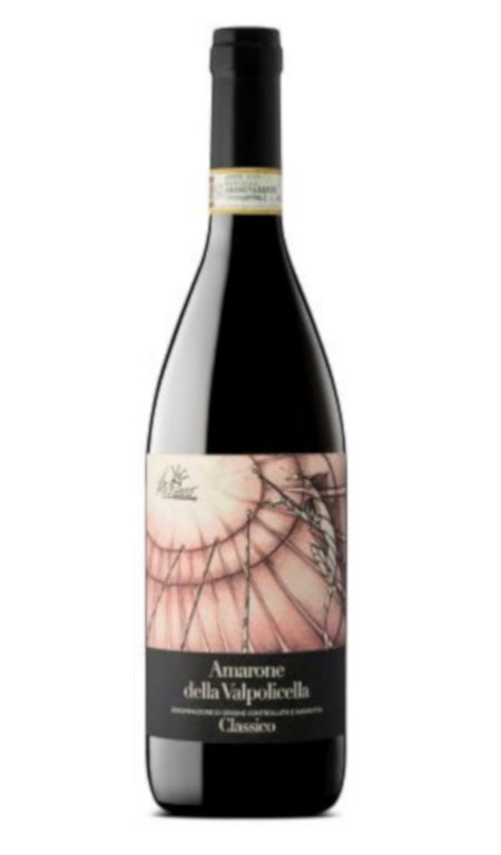 Amarone della Valpolicella Il Re Pazzo 2017 Terre di Leone Magnum lt1,5 Cassa Legno