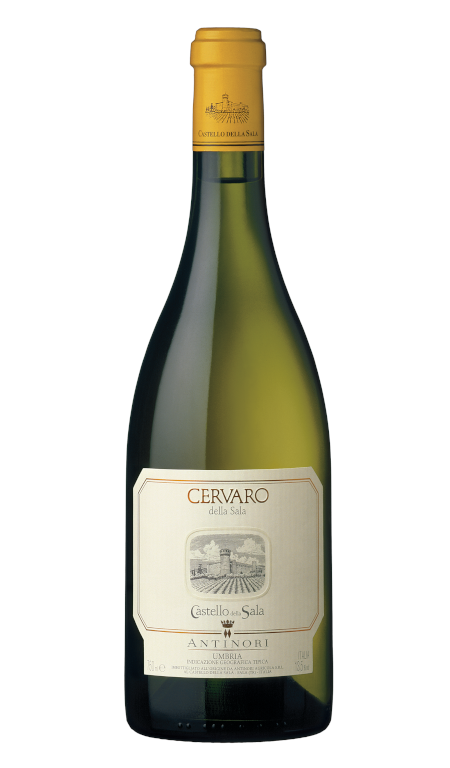 Cervaro della Sala 2024 Antinori 