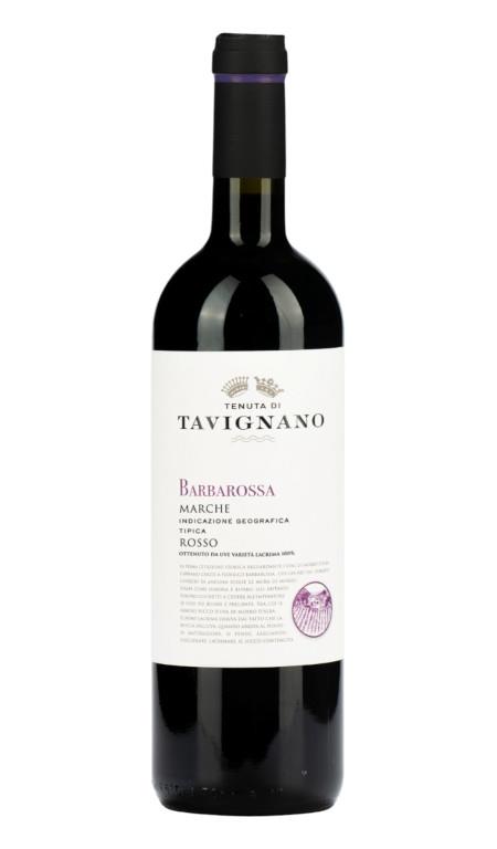 Marche Rosso Barbarossa 2024 Tenuta di Tavignano