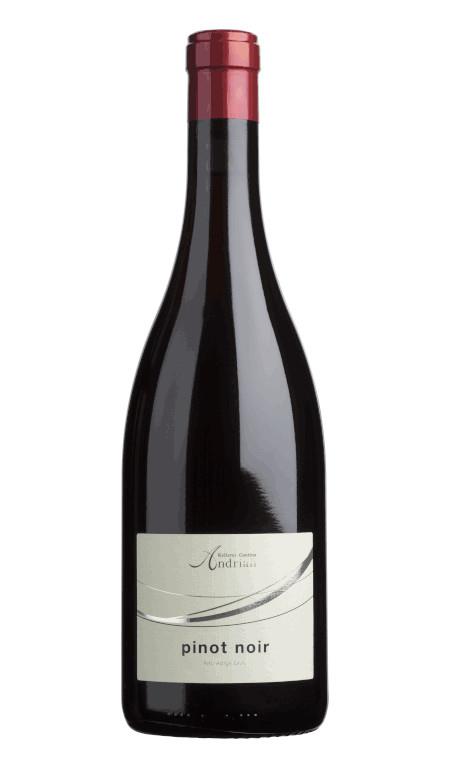 Pinot Nero Alto Adige 2024 Cantina Andriano