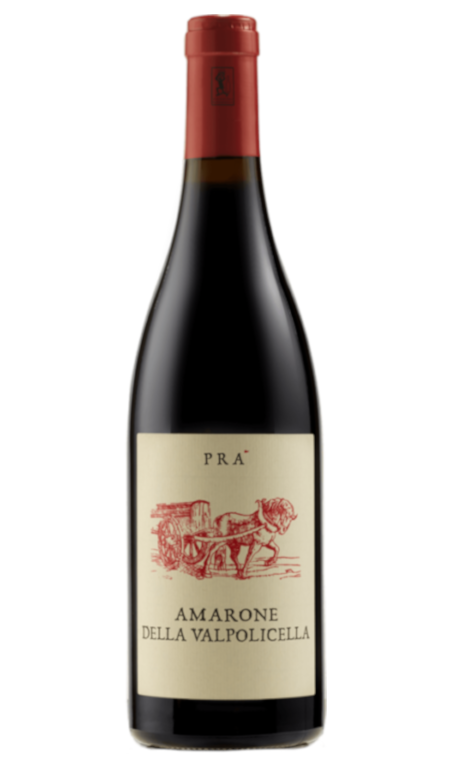 Amarone della Valpolicella Docg Morandina 2016 Graziano Prà