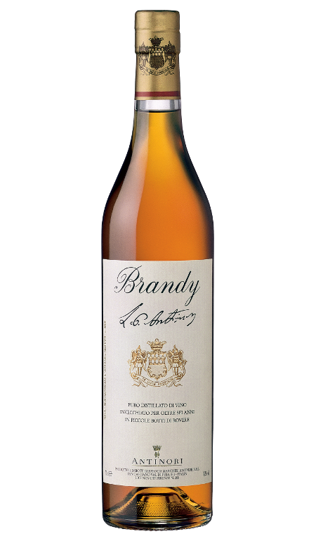 Brandy Antinori Astuccio