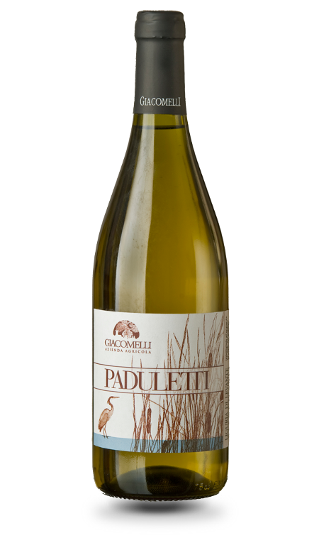 Paduletti Bianco Liguria di Levante 2023 Giacomelli