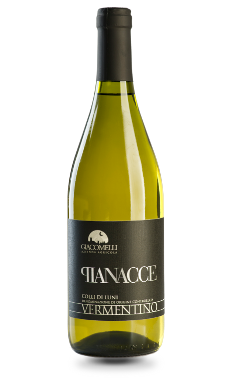 Vermentino Colli di Luni Pianacce 2023 Giacomelli