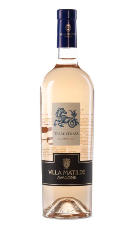 Terre Cerase Rosé 2023 Villa Matilde