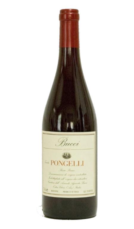 Rosso Piceno Tenuta Pongelli 2021 Villa Bucci