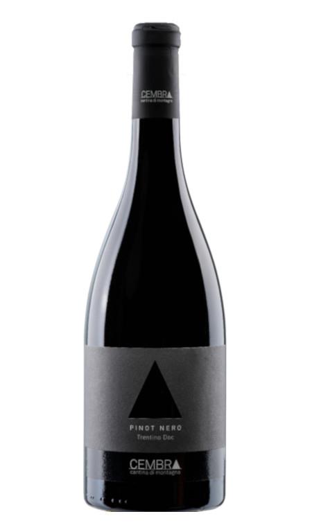 Pinot Nero 2021 Cembra