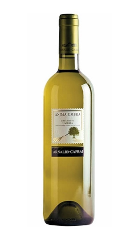 Umbria Grechetto Anima Umbra 2024 Arnaldo Caprai