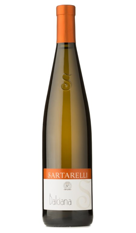 Verdicchio Castelli di Jesi Classico Sup. Balciana 2019 Sartarelli